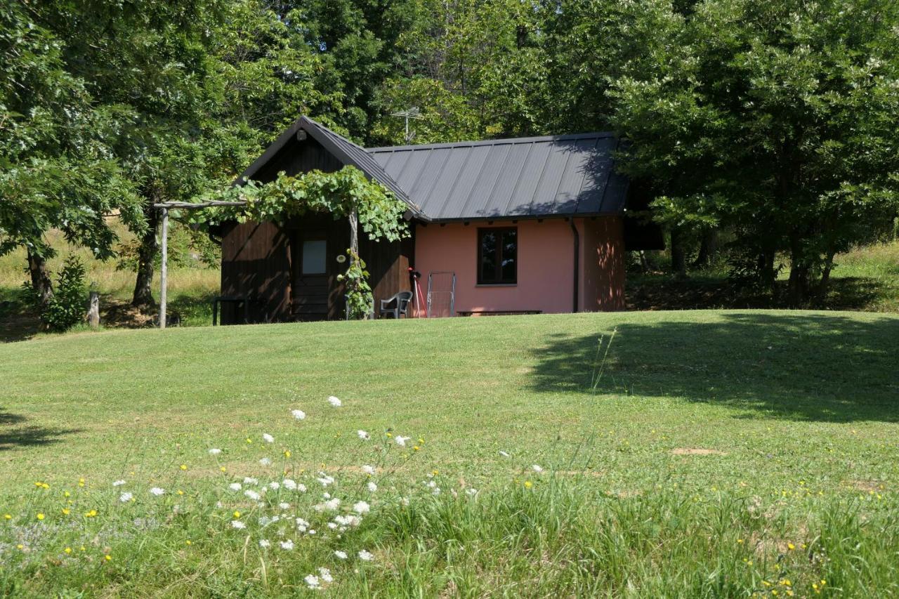 Agriturismo Braccicorti 皮耶韦福斯切纳 外观 照片