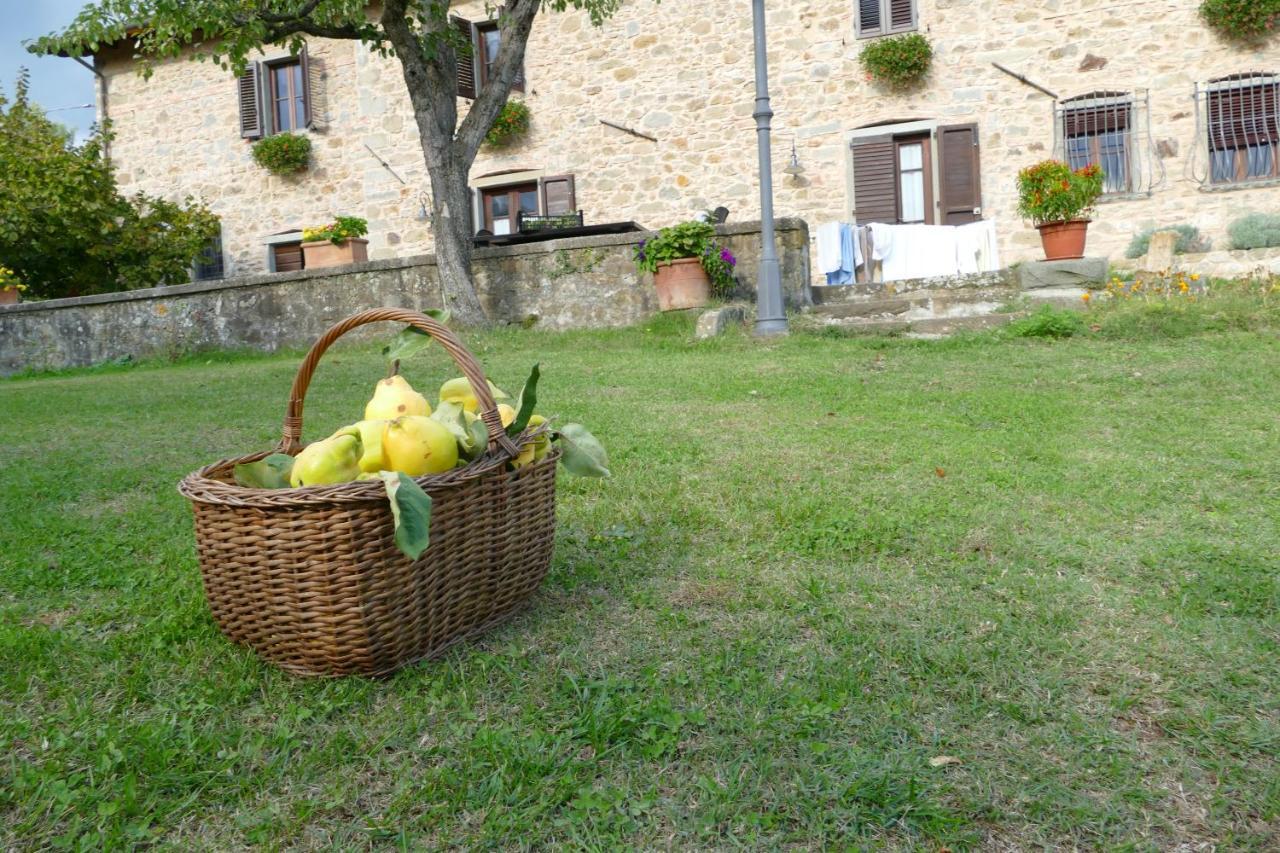 Agriturismo Braccicorti 皮耶韦福斯切纳 外观 照片