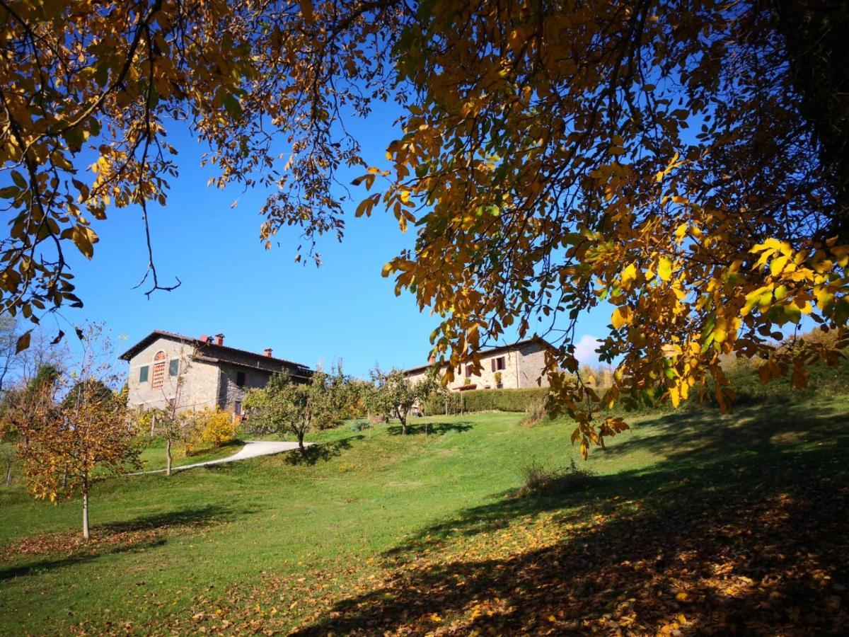 Agriturismo Braccicorti 皮耶韦福斯切纳 外观 照片