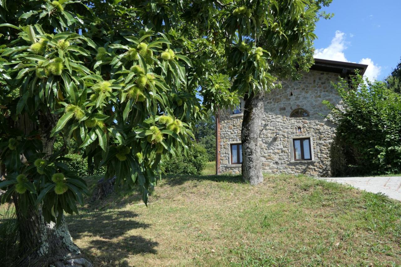 Agriturismo Braccicorti 皮耶韦福斯切纳 外观 照片