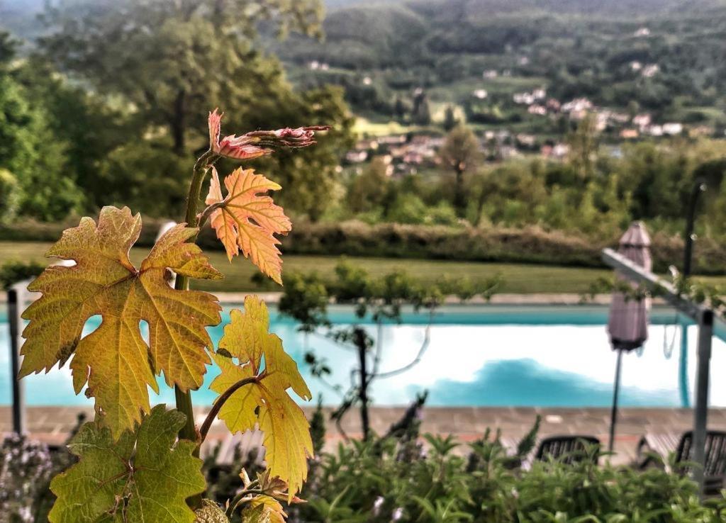 Agriturismo Braccicorti 皮耶韦福斯切纳 外观 照片