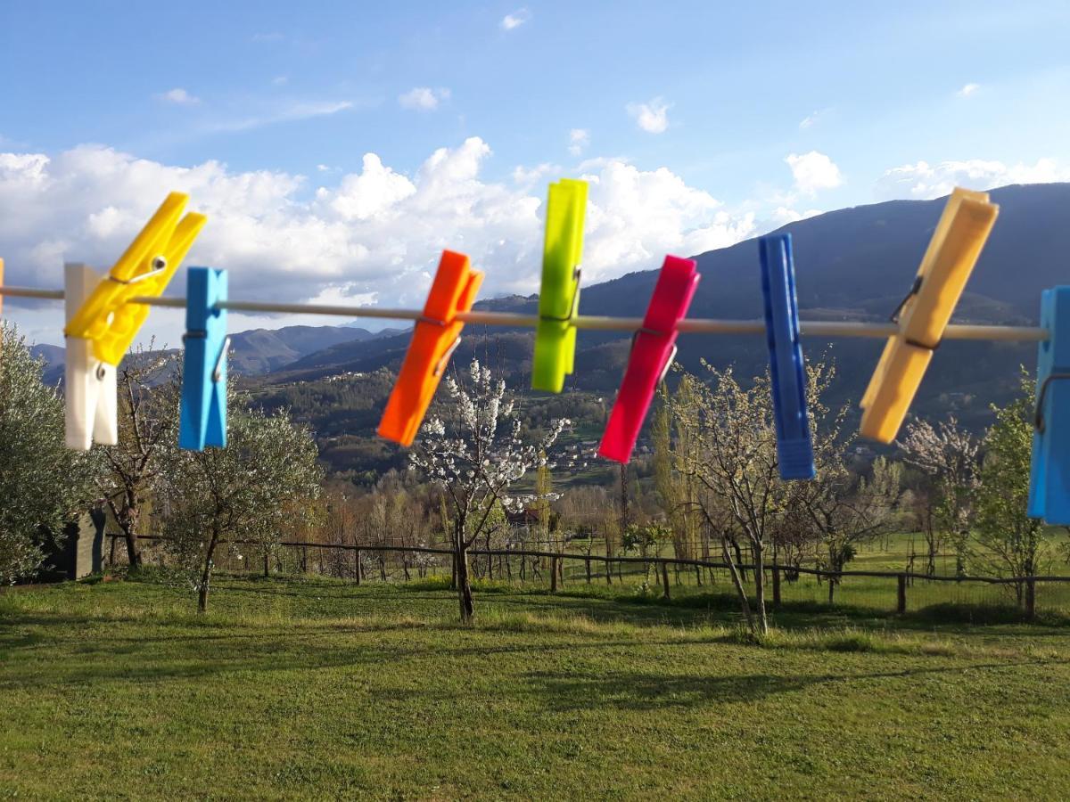 Agriturismo Braccicorti 皮耶韦福斯切纳 外观 照片