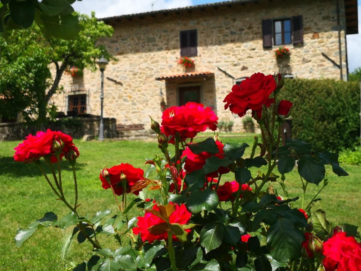 Agriturismo Braccicorti 皮耶韦福斯切纳 外观 照片