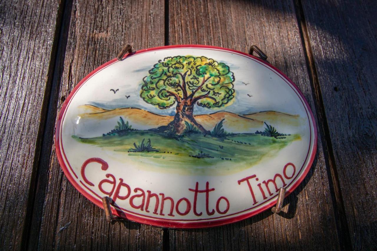 Agriturismo Braccicorti 皮耶韦福斯切纳 外观 照片