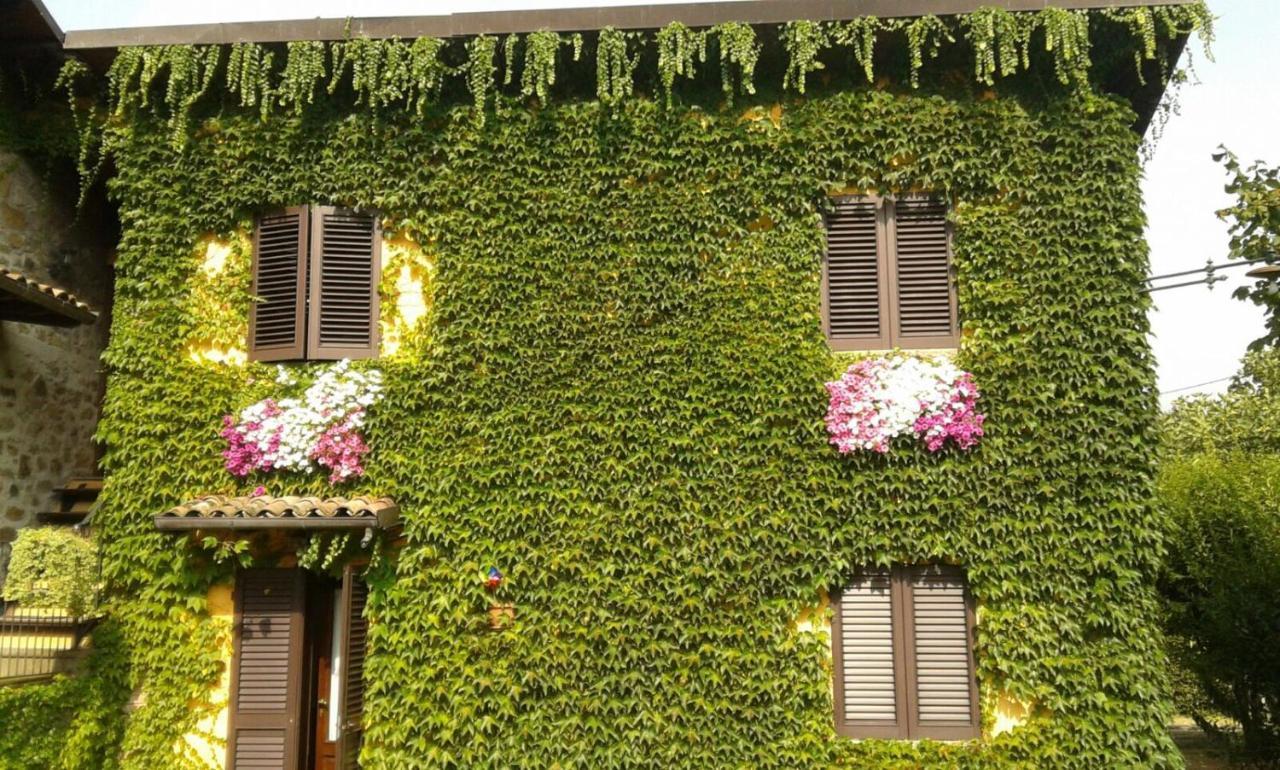 Agriturismo Braccicorti 皮耶韦福斯切纳 外观 照片